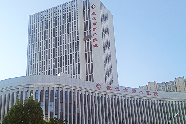 湖北省武漢市第八醫院